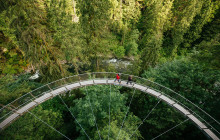 Bearly There Tours8