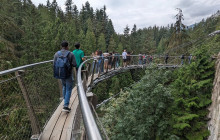 Bearly There Tours13