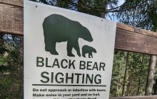 Bearly There Tours22