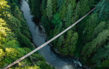 Bearly There Tours32