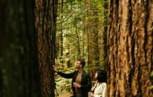 Bearly There Tours38
