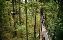 Bearly There Tours41