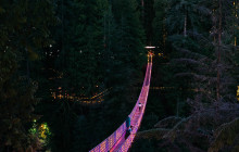 Bearly There Tours47