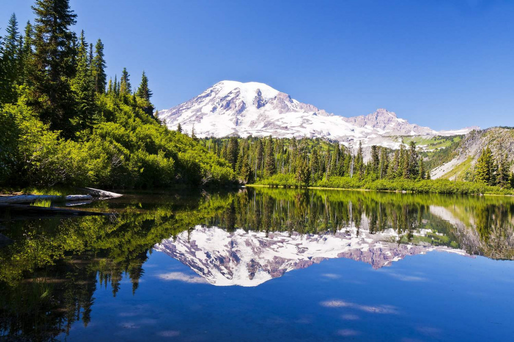 Mount Rainier National Park Self-Guided Driving Tour