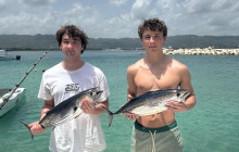 Island Cruises & Excursions3