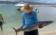 Island Cruises & Excursions5
