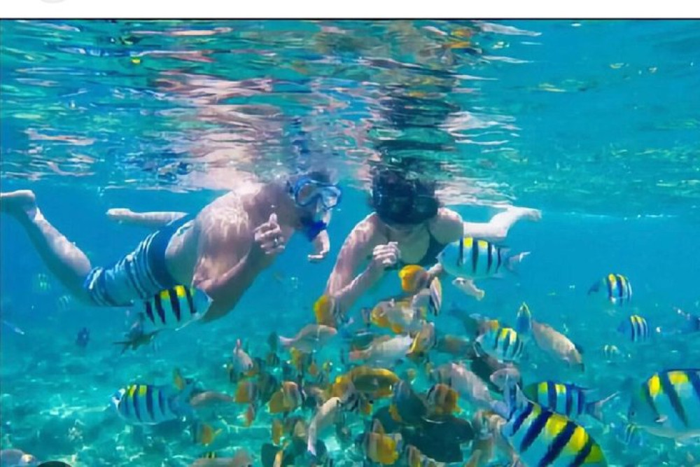 Montego Bay Deep Sea Fishing with Montego Bay Hip Strip Stop