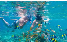Island Cruises & Excursions10