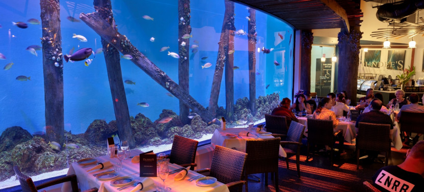 Night at the Aquarium Tour & 2 Course Dinner