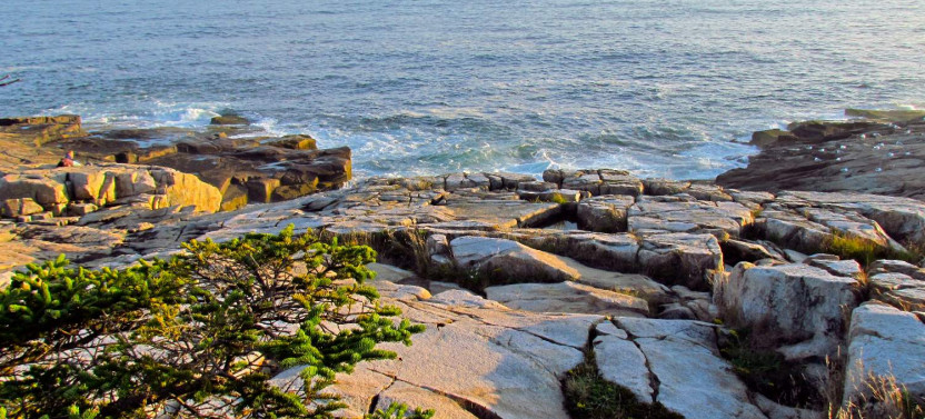 Ocean Path Trailhead Self-Guided Walking Tour
