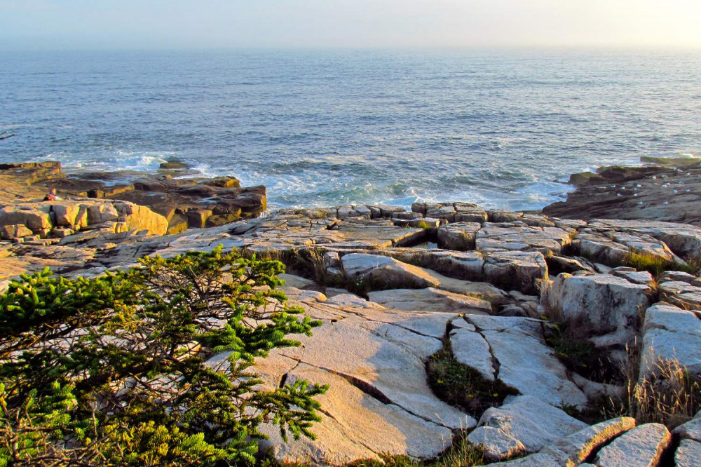 Ocean Path Trailhead Self-Guided Walking Tour