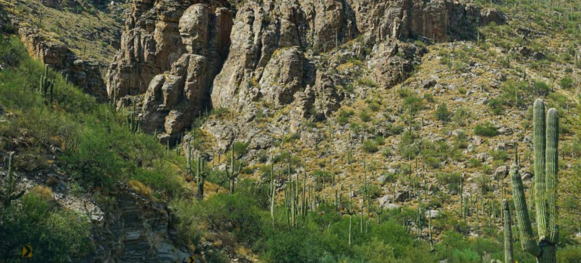 Saguaro National Park and Mt. Lemmon Self-Guided Tour Bundle
