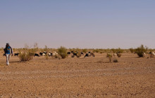 Départ Travel Services23