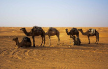 Départ Travel Services8