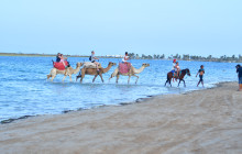 Départ Travel Services2