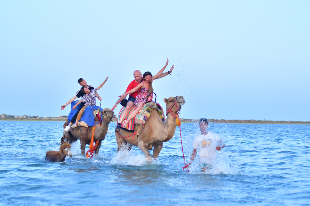 Golden Hour Horseback and Camel Caravan Experience in Djerba