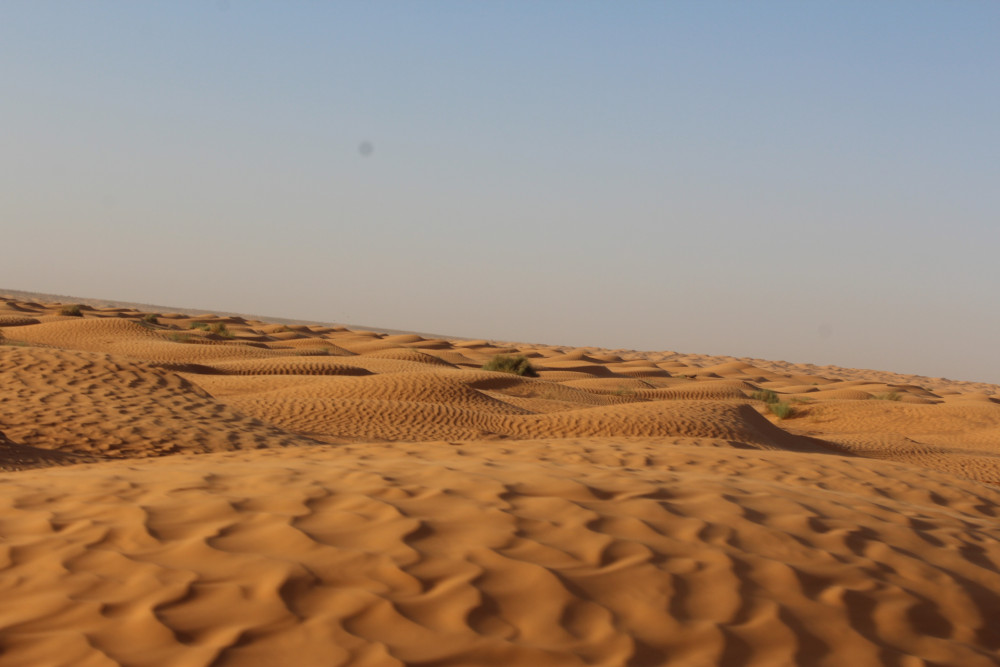 Full-Day 4x4 Desert Adventure to Ksar Ghilane & Chenini from Djerba