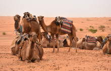 Départ Travel Services18