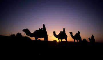 A picture of 3-Day Tunisian Sahara Desert Tour from Tunis, Hammamet and Sousse