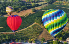 Balloon Team Italia Srl3