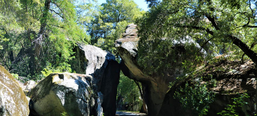 Yosemite National Park Self-Guided Driving Audio Tour