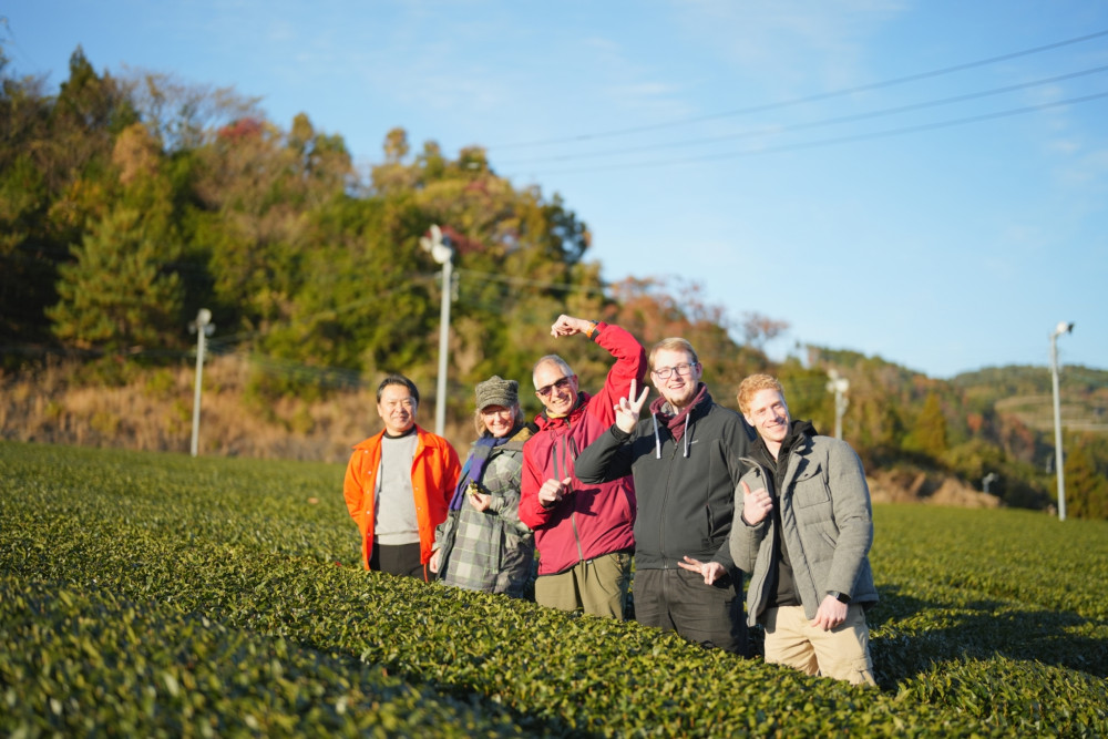 The Yame Tea Journey from Plantation to Cup