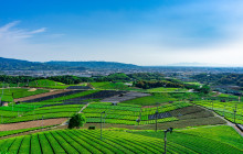 Beauty of Japan5