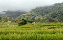 Withlocals3
