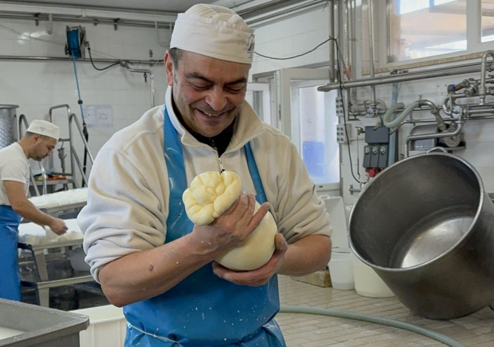 Farm Tour with Mozzarella Workshop & Pasta Class in Local Masseria in Marti
