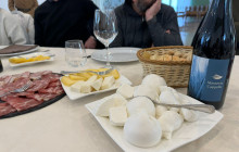 Martulli Viaggi - DMC7