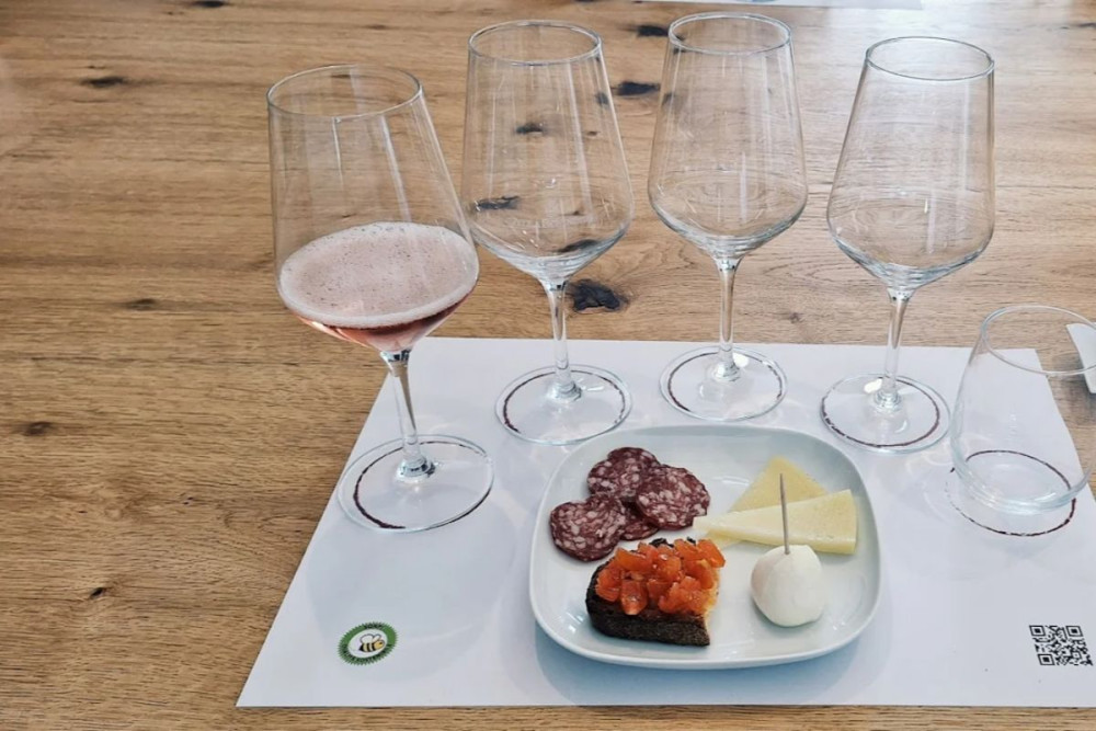 Castel del Monte UNESCO & Wine Tasting in Trani from Matera
