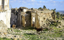 Martulli Viaggi - DMC3