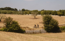 Martulli Viaggi - DMC6