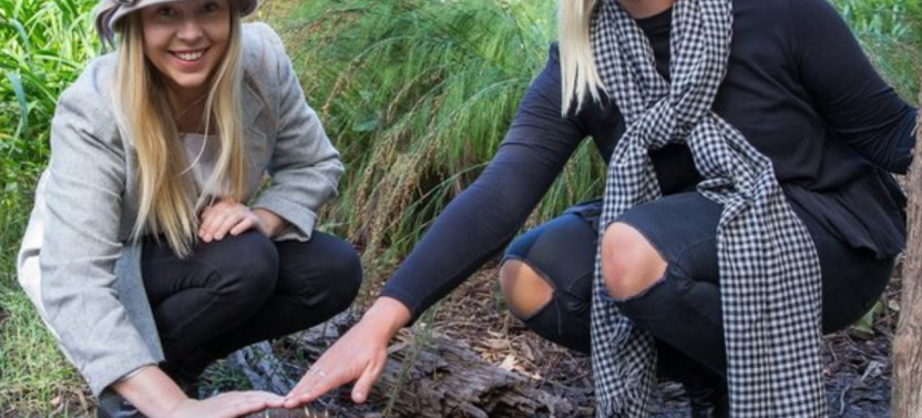 Small-Group Yarra Valley Wildlife & Redwood Forest Day Tour