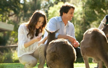 Local Way Tours7