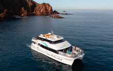 Local Way Tours7