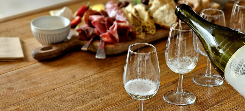 Phillip Island Wine And Penguin Tour With Penguin Plus