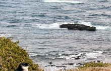 Local Way Tours15