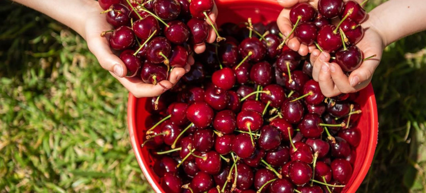 Christmas In The Valley With Cheese, Cherries & Chocolate Tastings
