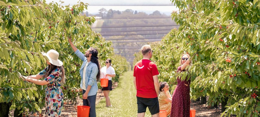 Christmas In The Valley With Cheese, Cherries & Chocolate Tastings