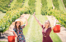 Local Way Tours8