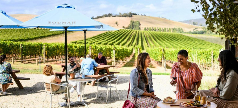 Morning Yarra Valley Half-Day Wine Tour from Melbourne