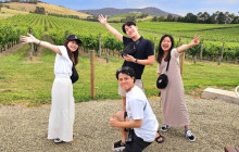 Local Way Tours12