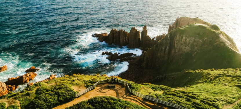 Phillip Island Wildlife Discovery And Penguins Tour From Melbourne
