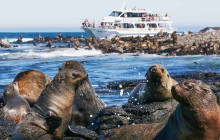 Local Way Tours7