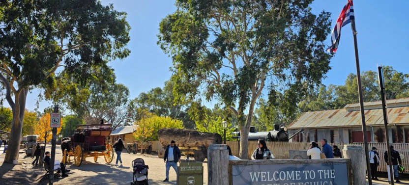 Murray River Paddle Steamers & Wine Tour