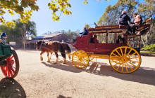 Local Way Tours4