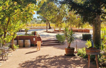 Local Way Tours5