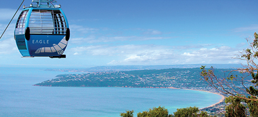 Mornington Peninsula Coastal Discovery Tour