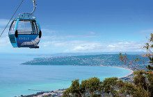 Local Way Tours8